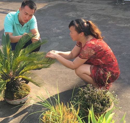 图为同学们调查询问过程